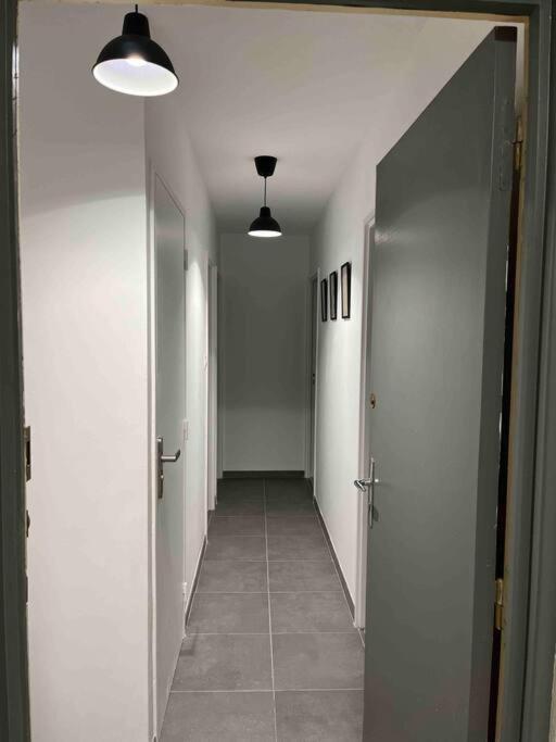 Appartement Renove - Vandoeuvre Les Nancy المظهر الخارجي الصورة