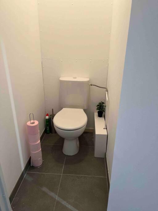 Appartement Renove - Vandoeuvre Les Nancy المظهر الخارجي الصورة