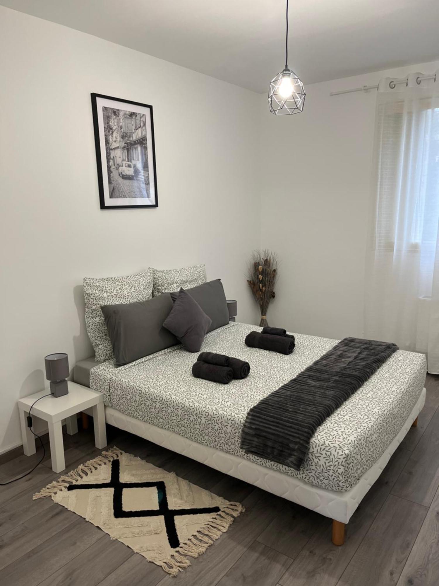 Appartement Renove - Vandoeuvre Les Nancy المظهر الخارجي الصورة
